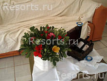 Hotel Mikro Village 5